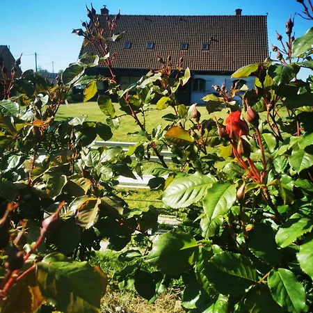 Maison Terra Nova